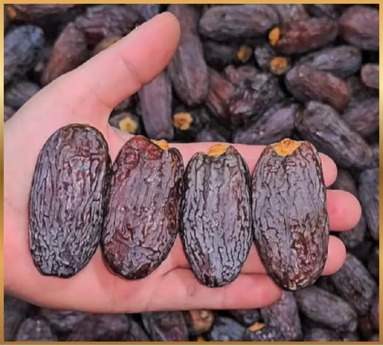 Original Aziz organic Medjool date carton