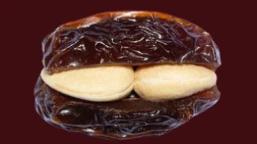 Cashew