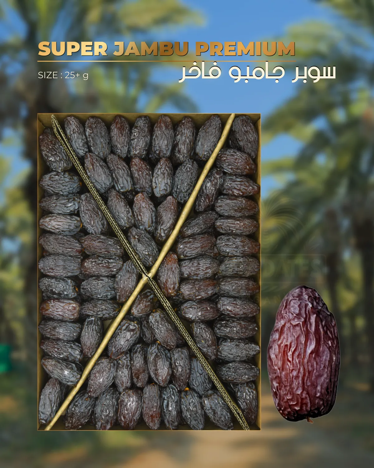سوبر جامبو فاخر