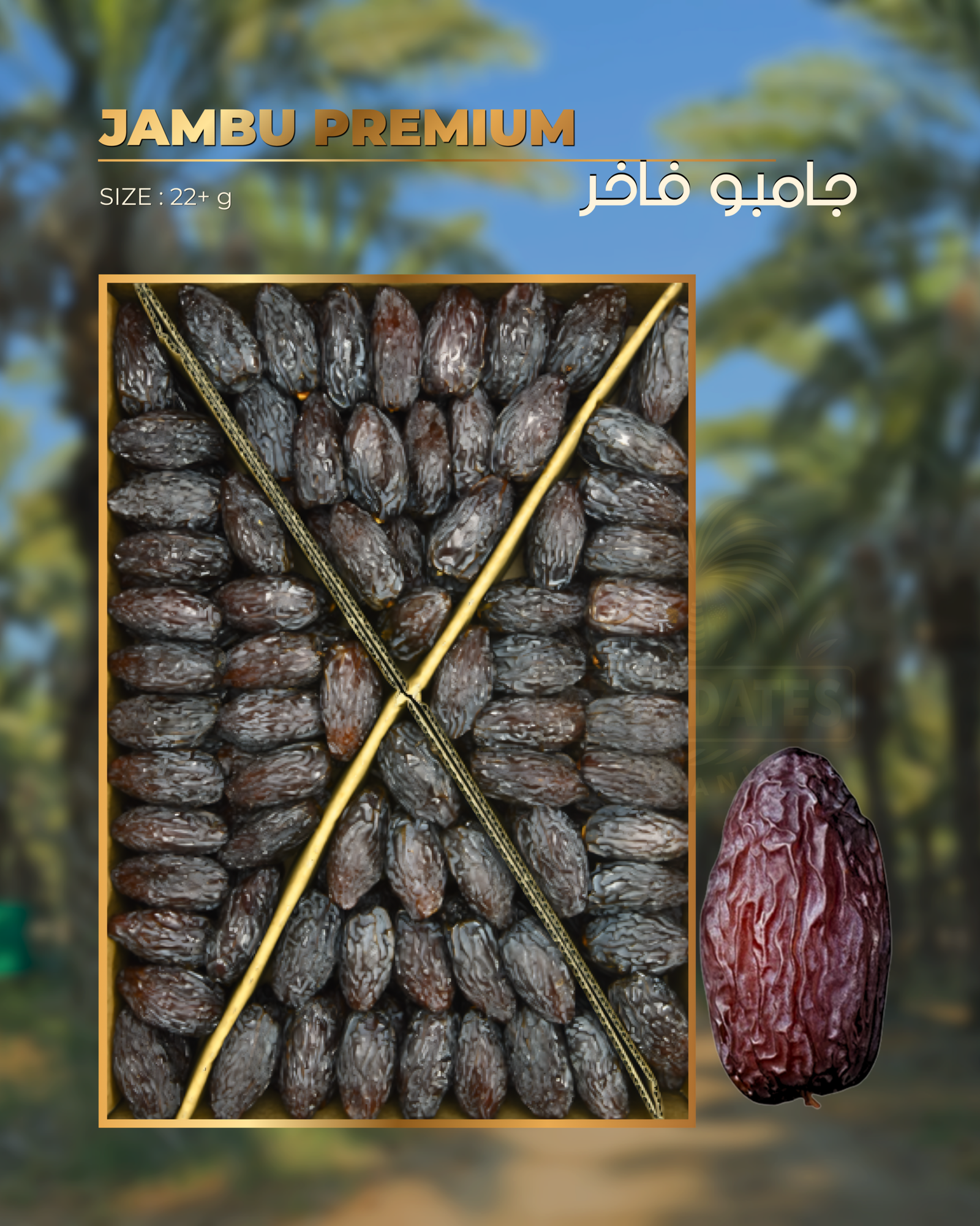 جامبو فاخر